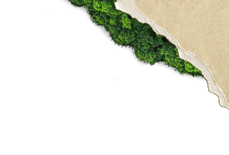 Fond image têtière